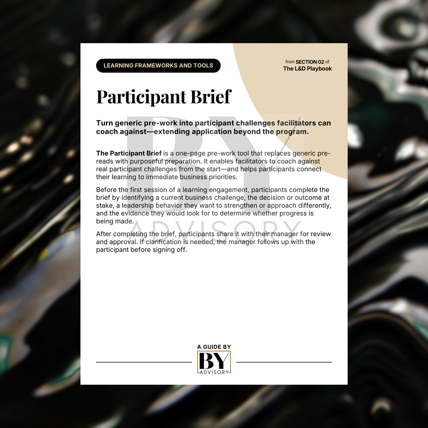 Participant Brief Template